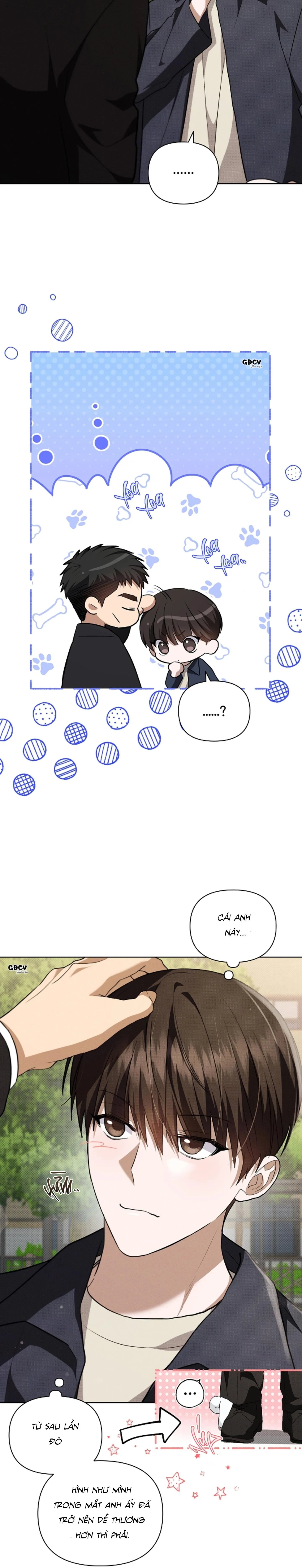 ĐỪNG CHẠM VÀO CÚN CON CỦA TÔI Chapter 23 Trang 15