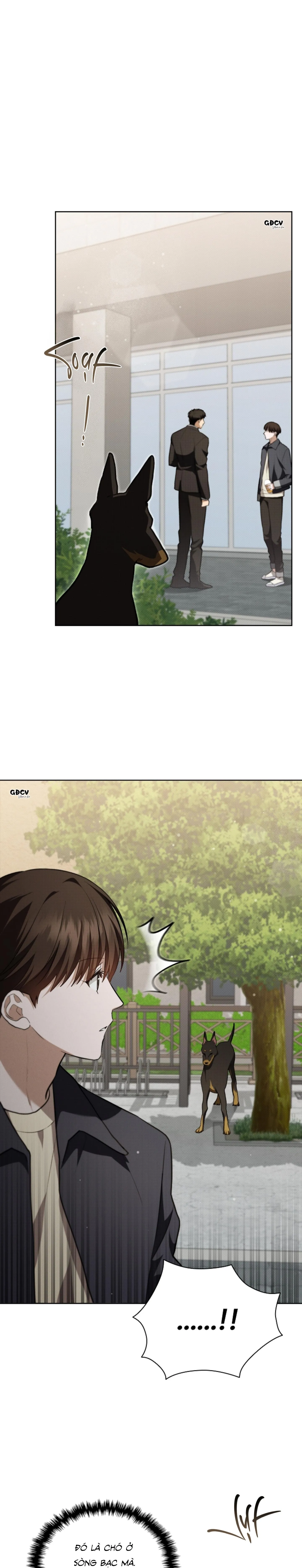 ĐỪNG CHẠM VÀO CÚN CON CỦA TÔI Chapter 23 Trang 16