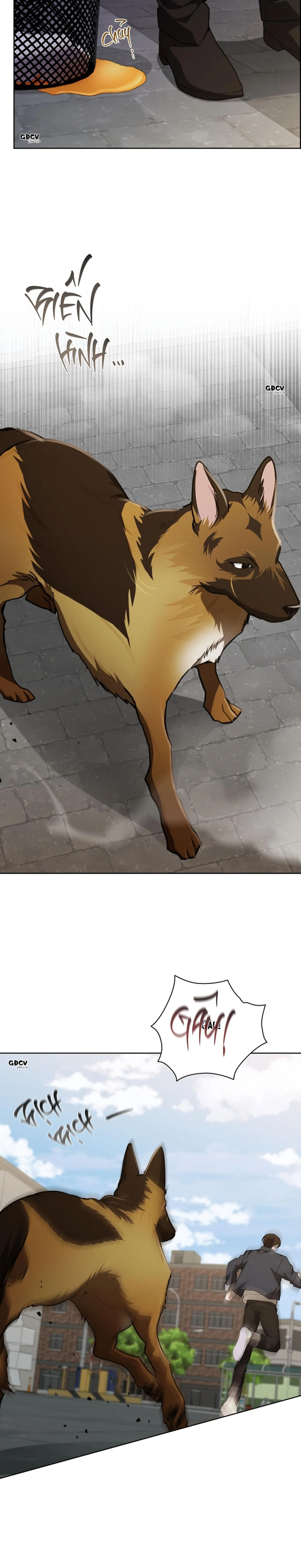 ĐỪNG CHẠM VÀO CÚN CON CỦA TÔI Chapter 23 Trang 20