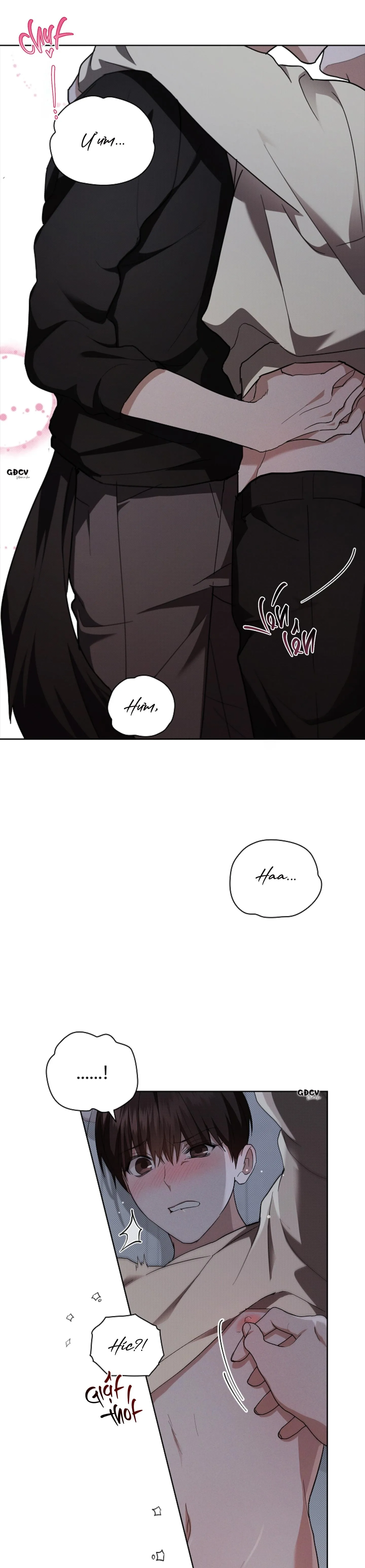 ĐỪNG CHẠM VÀO CÚN CON CỦA TÔI Chapter 24 Trang 17