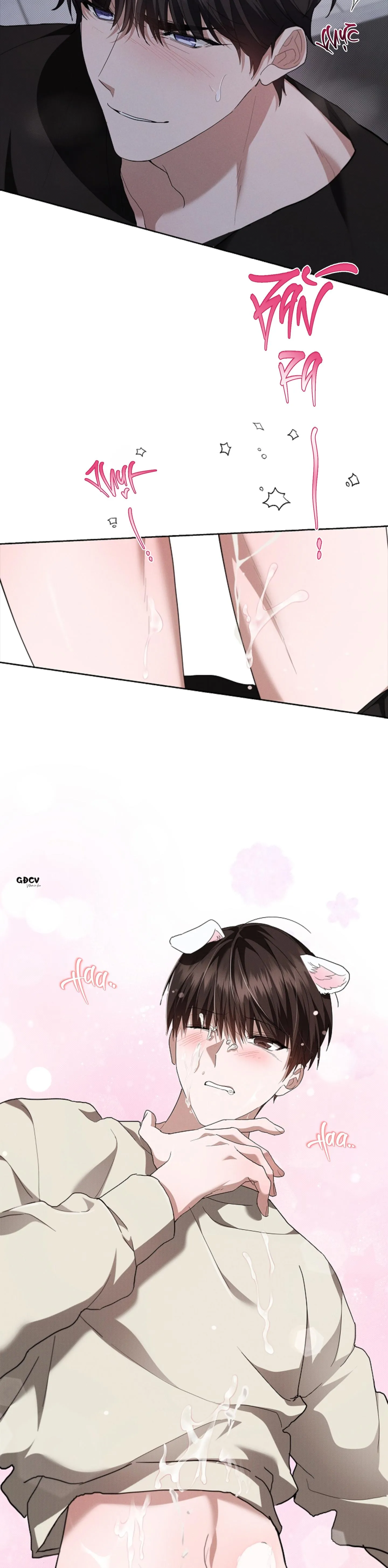 ĐỪNG CHẠM VÀO CÚN CON CỦA TÔI Chapter 24 Trang 27