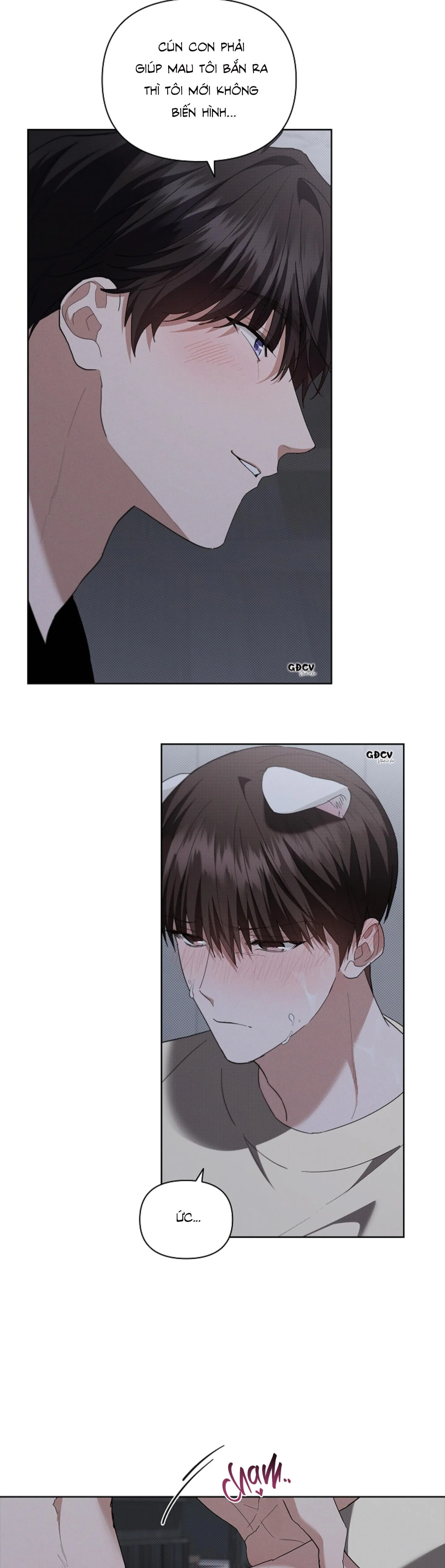 ĐỪNG CHẠM VÀO CÚN CON CỦA TÔI Chapter 24 Trang 29