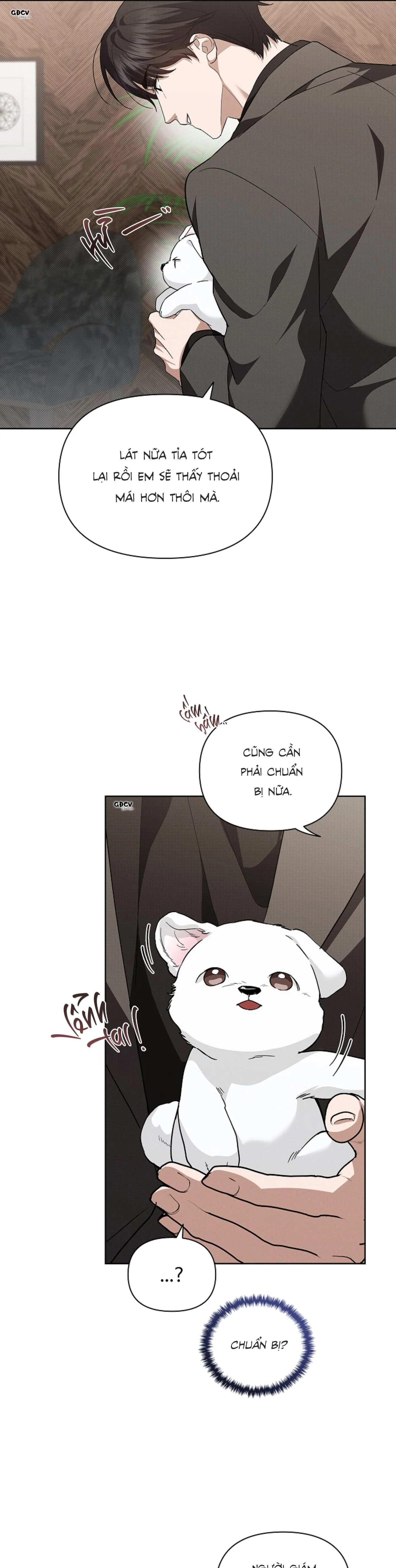 ĐỪNG CHẠM VÀO CÚN CON CỦA TÔI Chapter 28 Trang 13