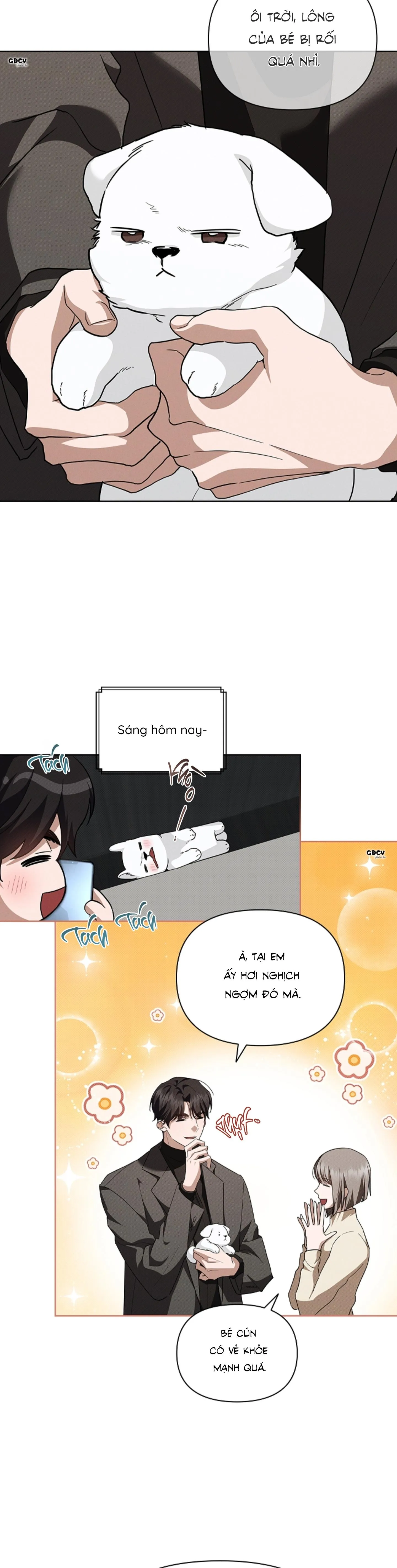 ĐỪNG CHẠM VÀO CÚN CON CỦA TÔI Chapter 28 Trang 15