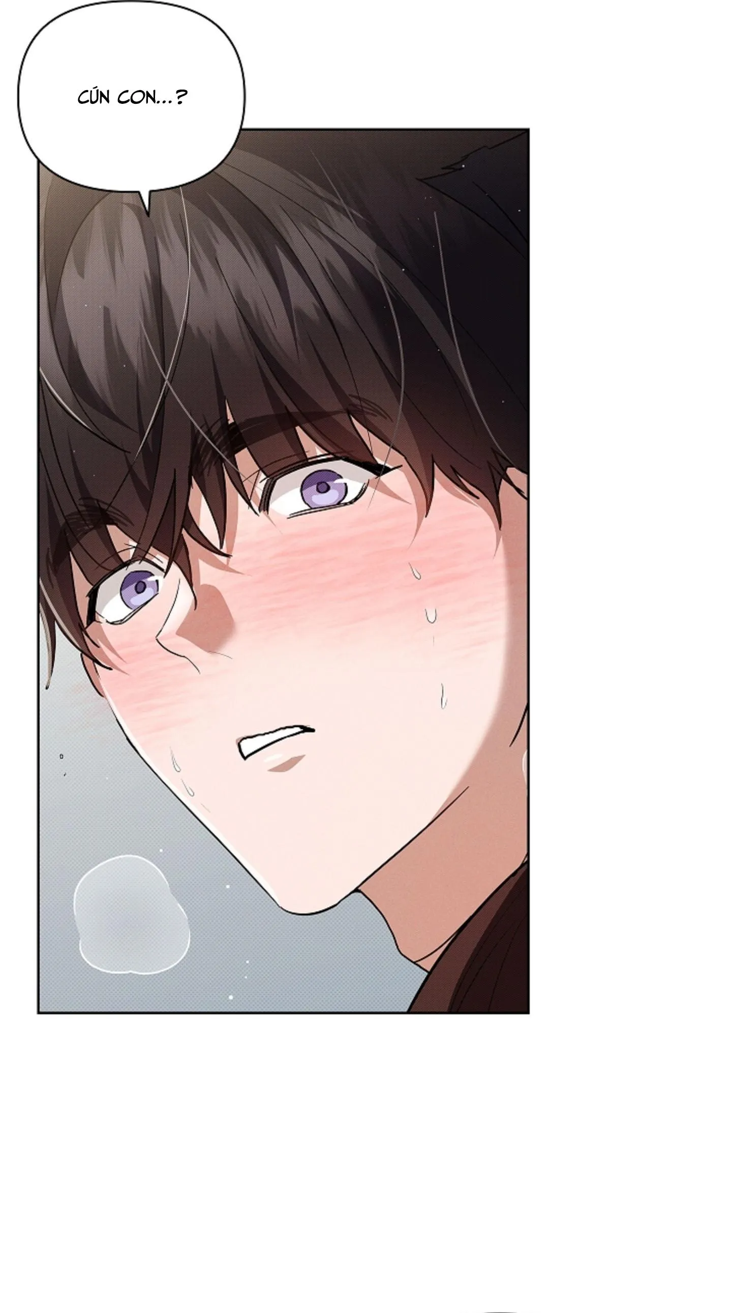 ĐỪNG CHẠM VÀO CÚN CON CỦA TÔI Chapter 44 Trang 40