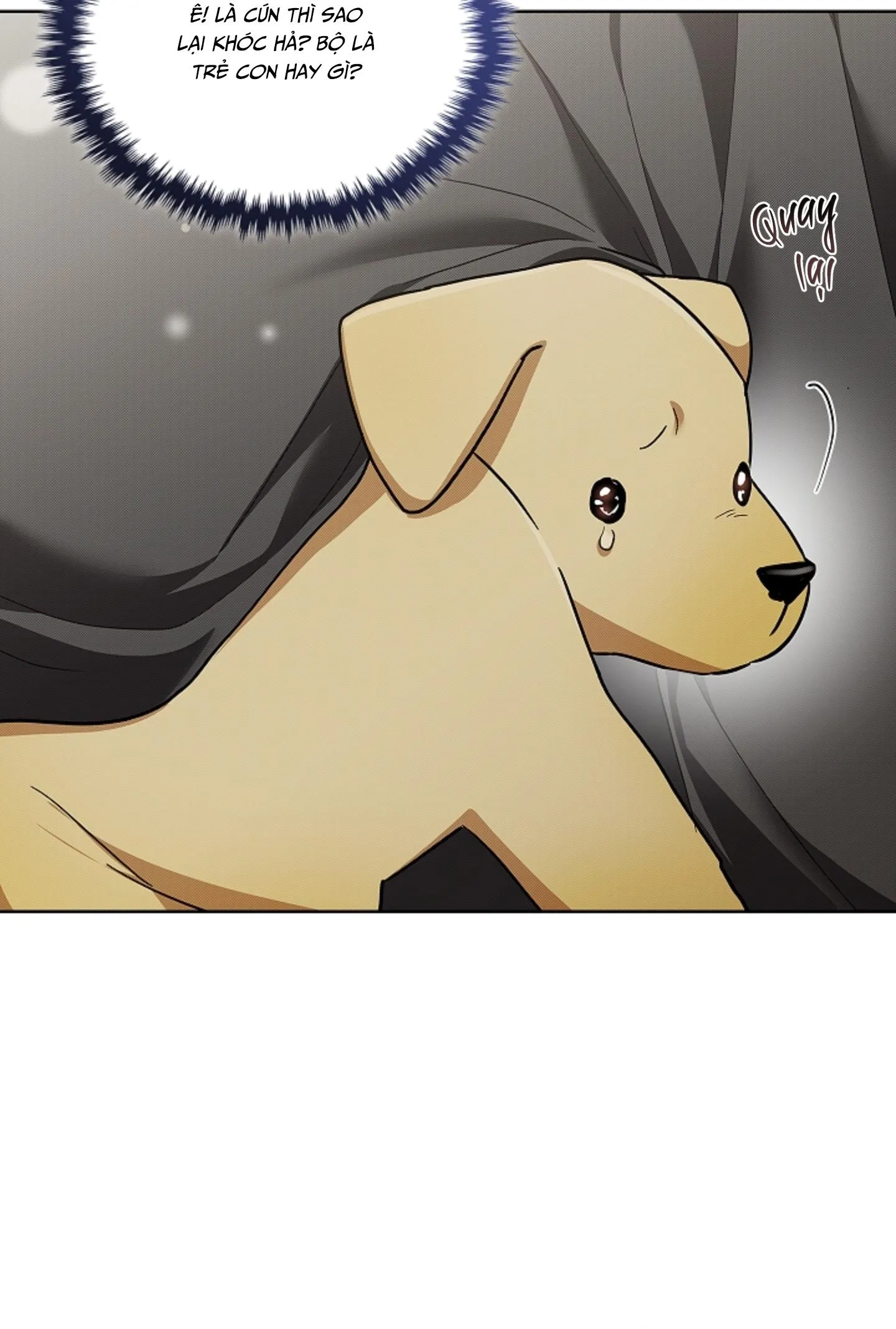 ĐỪNG CHẠM VÀO CÚN CON CỦA TÔI Chapter 47 Trang 10