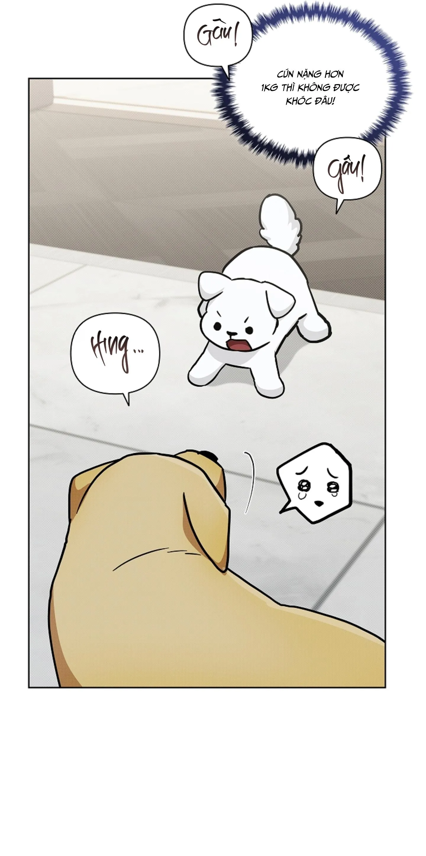 ĐỪNG CHẠM VÀO CÚN CON CỦA TÔI Chapter 47 Trang 11