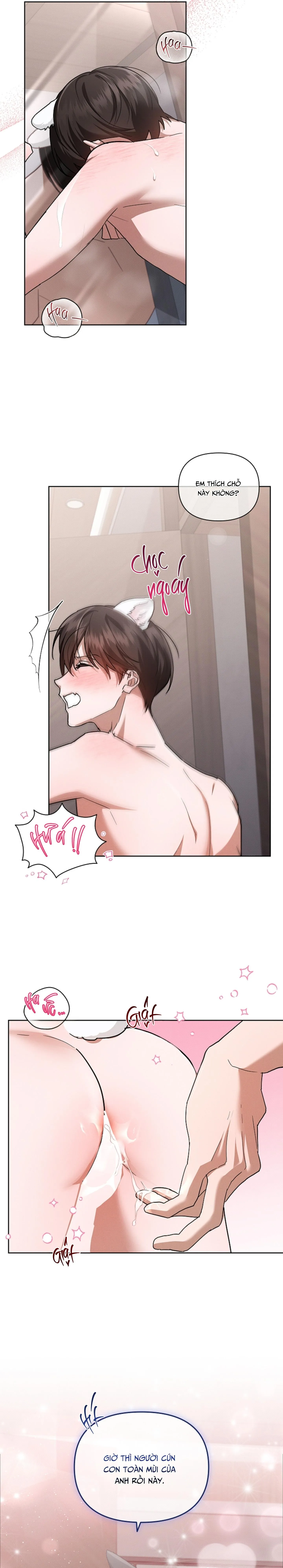 ĐỪNG CHẠM VÀO CÚN CON CỦA TÔI Chapter 48 Trang 14