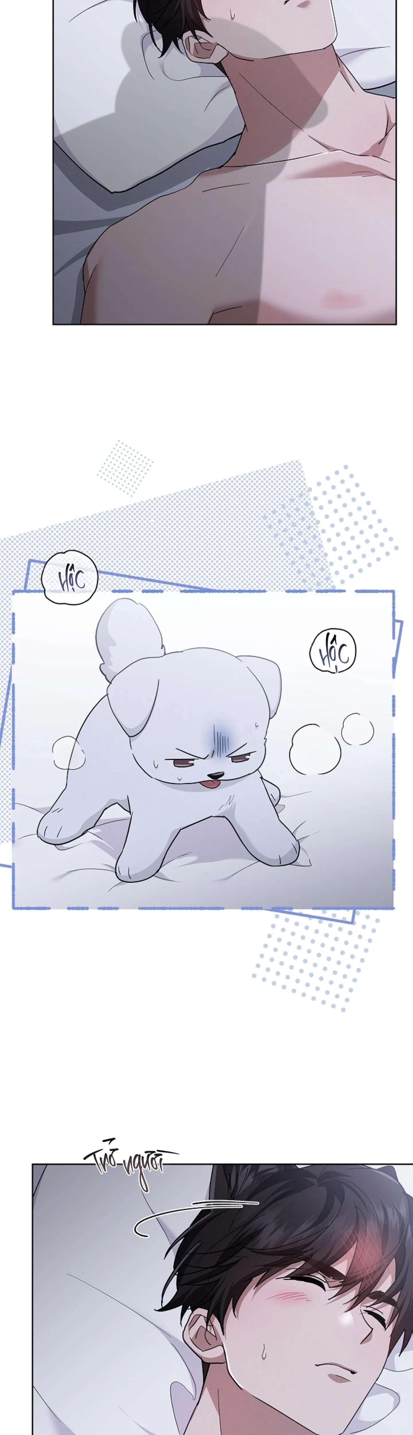 ĐỪNG CHẠM VÀO CÚN CON CỦA TÔI Chapter 49 Trang 11