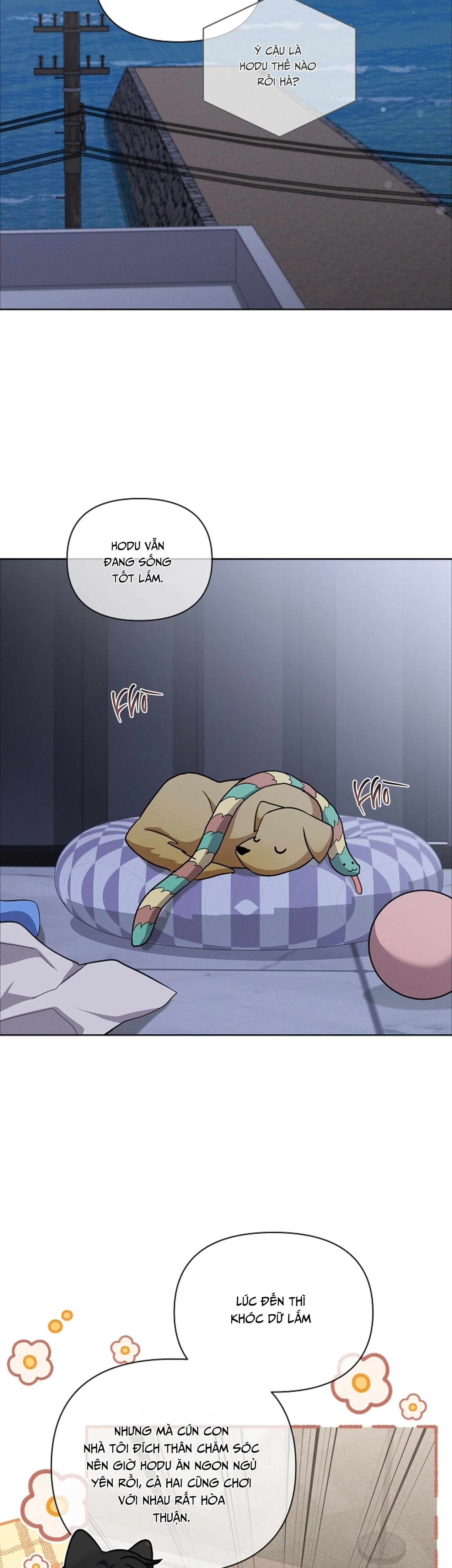 ĐỪNG CHẠM VÀO CÚN CON CỦA TÔI Chapter 49 Trang 37