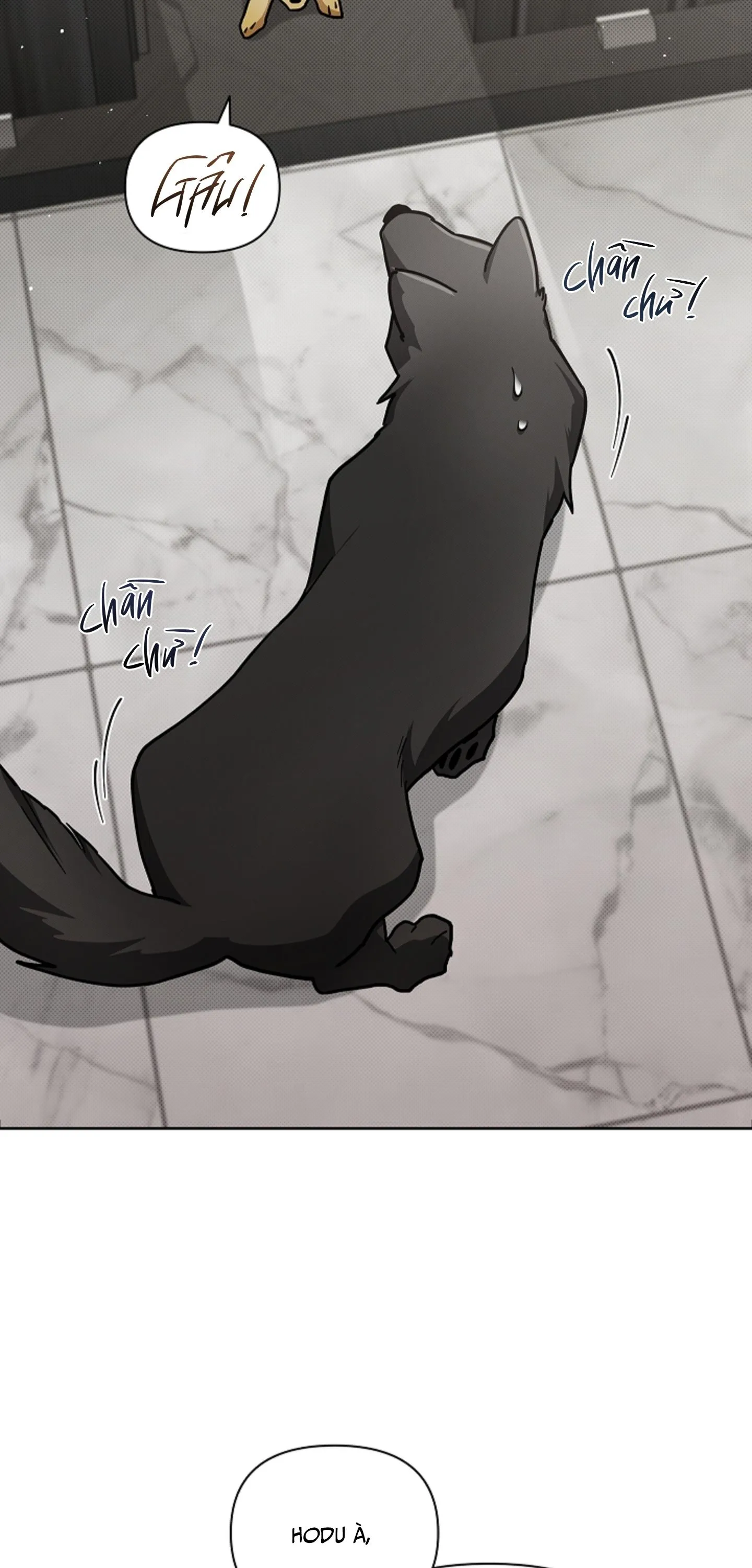 ĐỪNG CHẠM VÀO CÚN CON CỦA TÔI Chapter 50 Trang 15