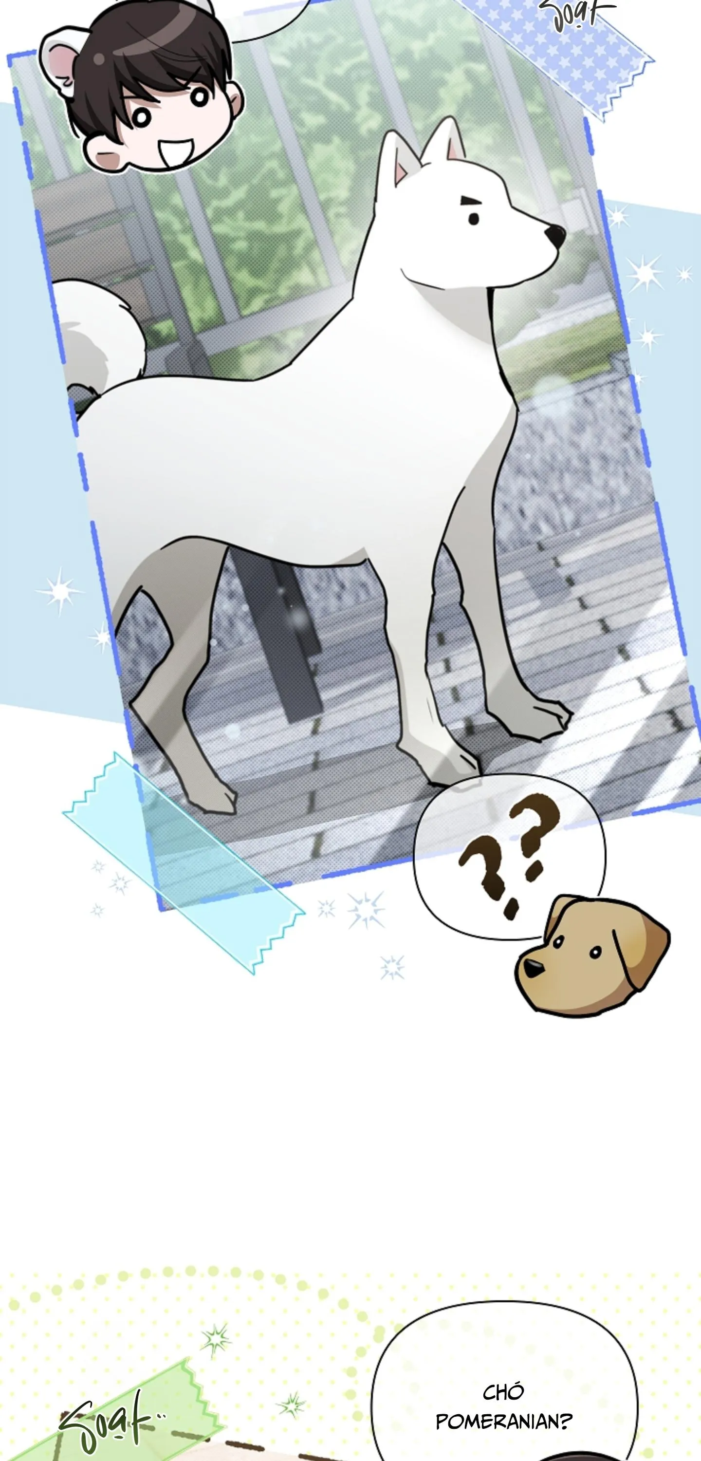 ĐỪNG CHẠM VÀO CÚN CON CỦA TÔI Chapter 50 Trang 33