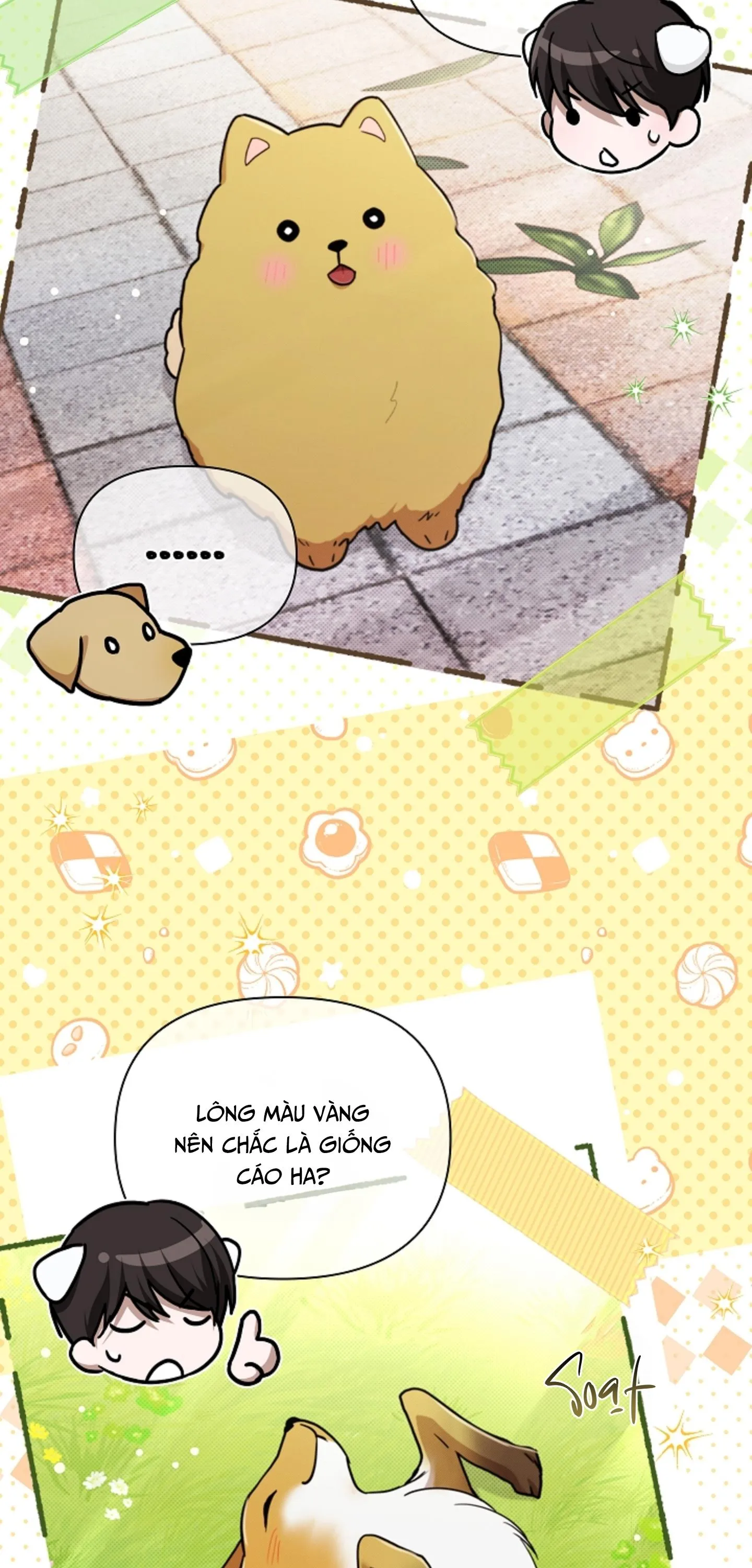 ĐỪNG CHẠM VÀO CÚN CON CỦA TÔI Chapter 50 Trang 34