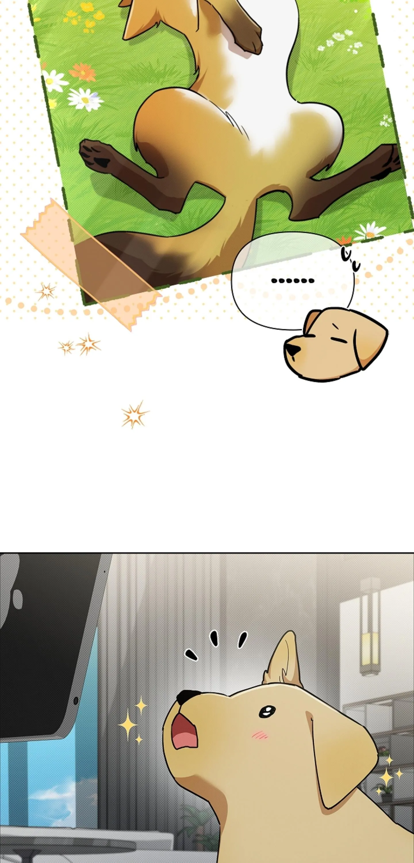 ĐỪNG CHẠM VÀO CÚN CON CỦA TÔI Chapter 50 Trang 35