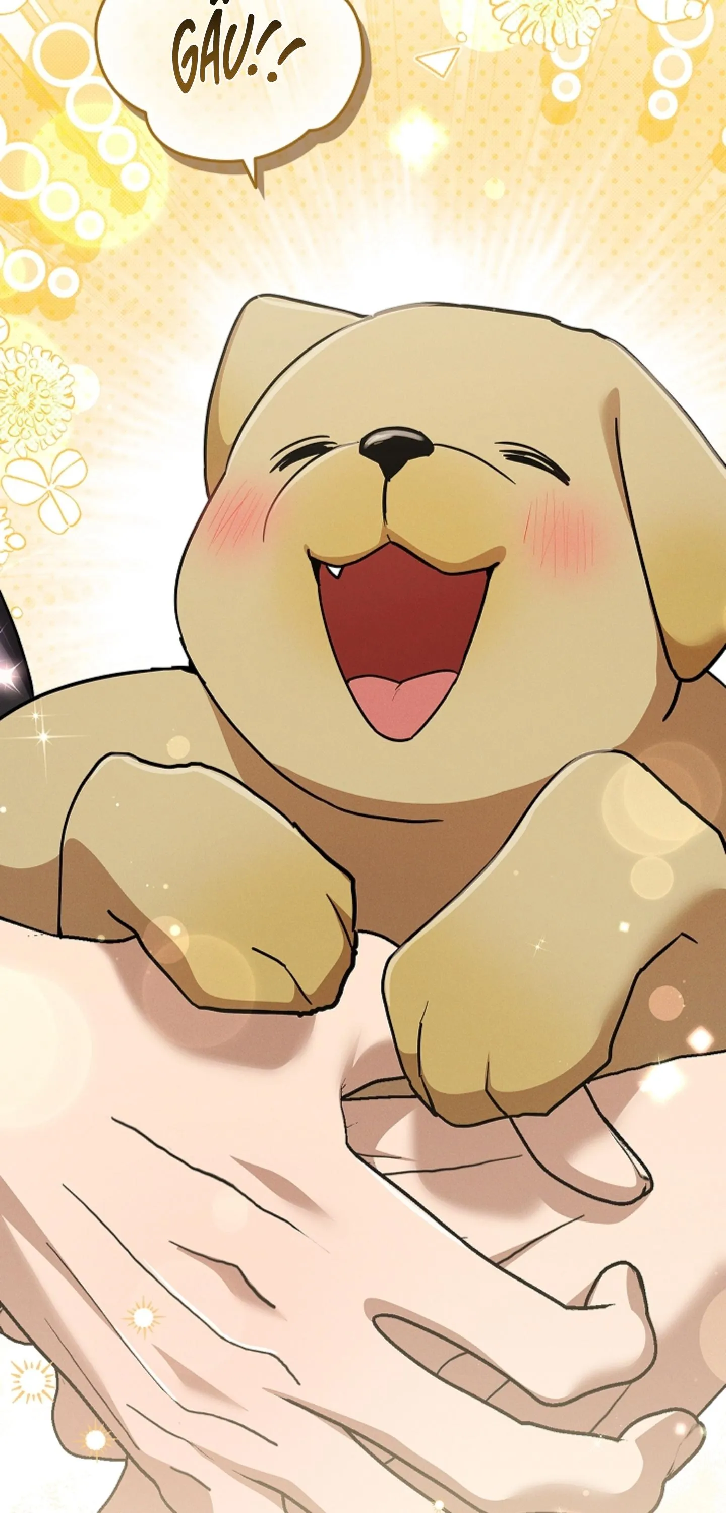 ĐỪNG CHẠM VÀO CÚN CON CỦA TÔI Chapter 52 Trang 14