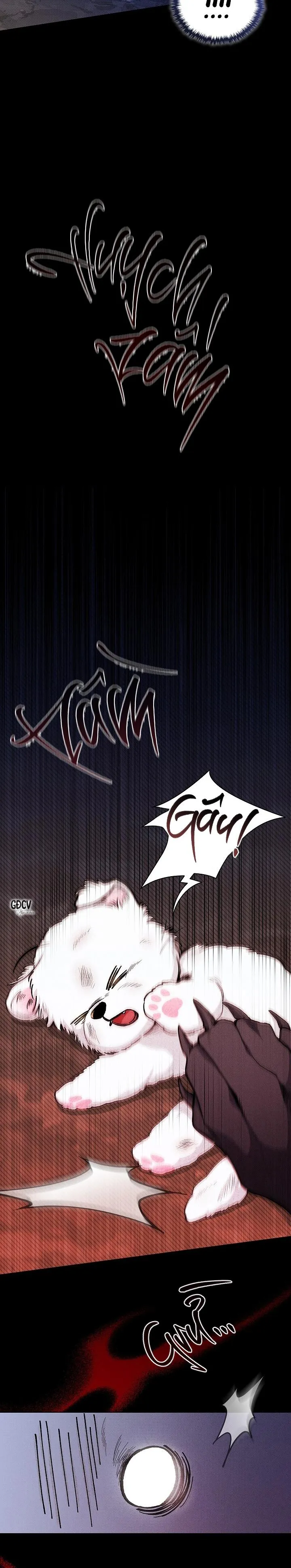 ĐỪNG CHẠM VÀO CÚN CON CỦA TÔI Chapter 1 Trang 3