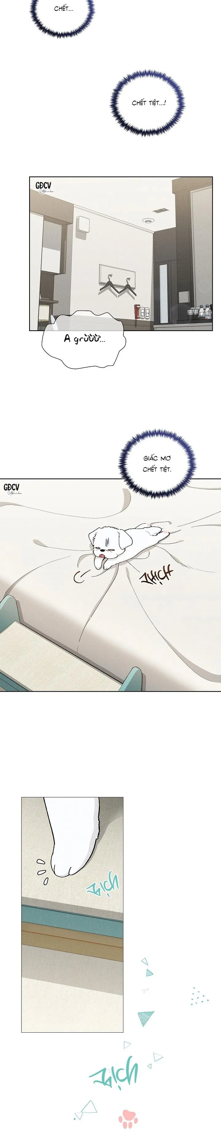 ĐỪNG CHẠM VÀO CÚN CON CỦA TÔI Chapter 1 Trang 7