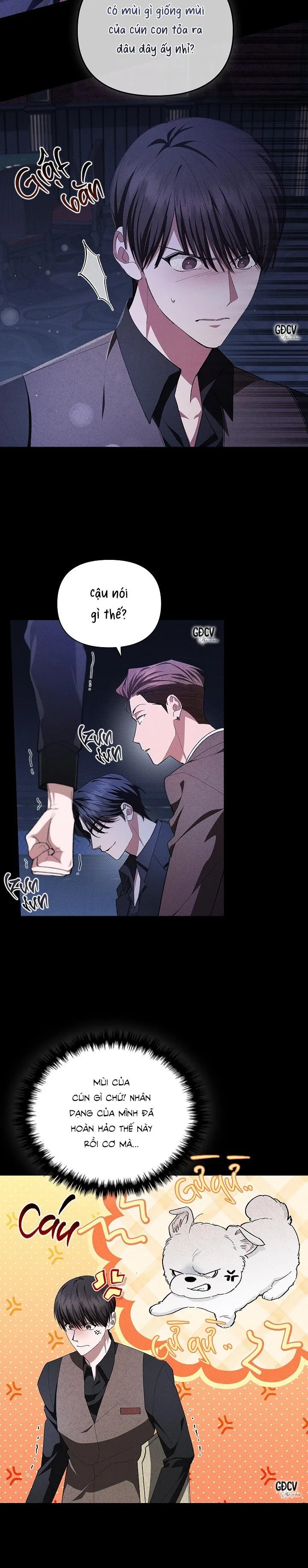 ĐỪNG CHẠM VÀO CÚN CON CỦA TÔI Chapter 1 Trang 15