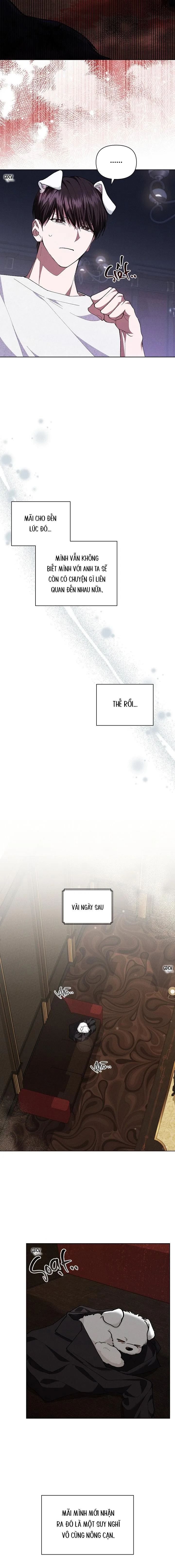 ĐỪNG CHẠM VÀO CÚN CON CỦA TÔI Chapter 1 Trang 27