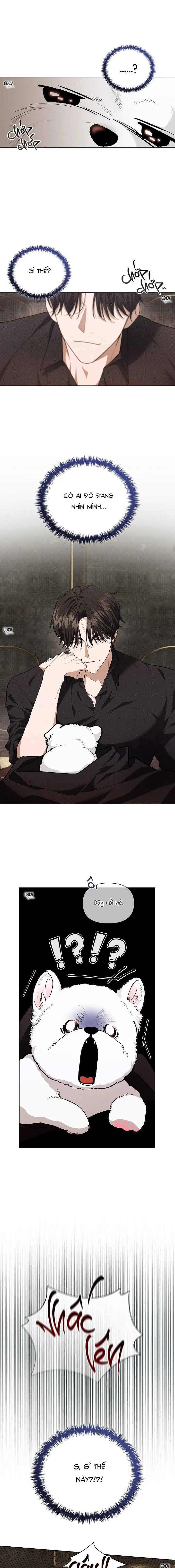 ĐỪNG CHẠM VÀO CÚN CON CỦA TÔI Chapter 1 Trang 28