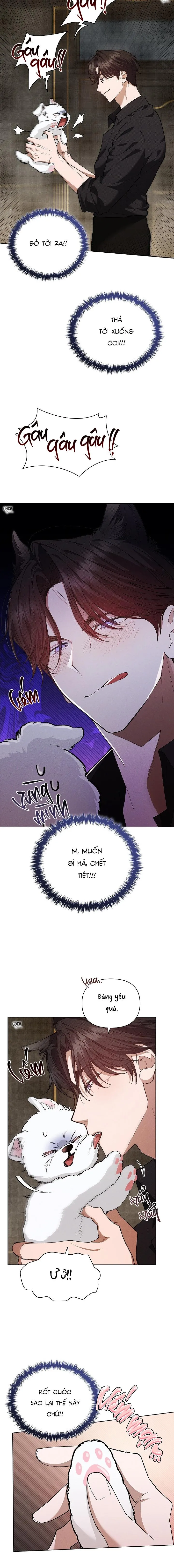 ĐỪNG CHẠM VÀO CÚN CON CỦA TÔI Chapter 1 Trang 29