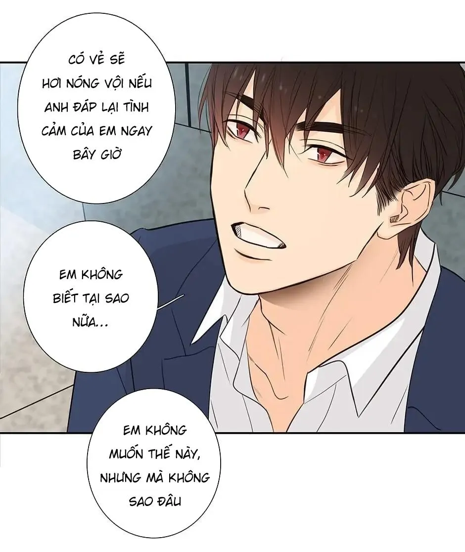 Đừng Chạm Vào Tim Tôi Chapter 42 Trang 4