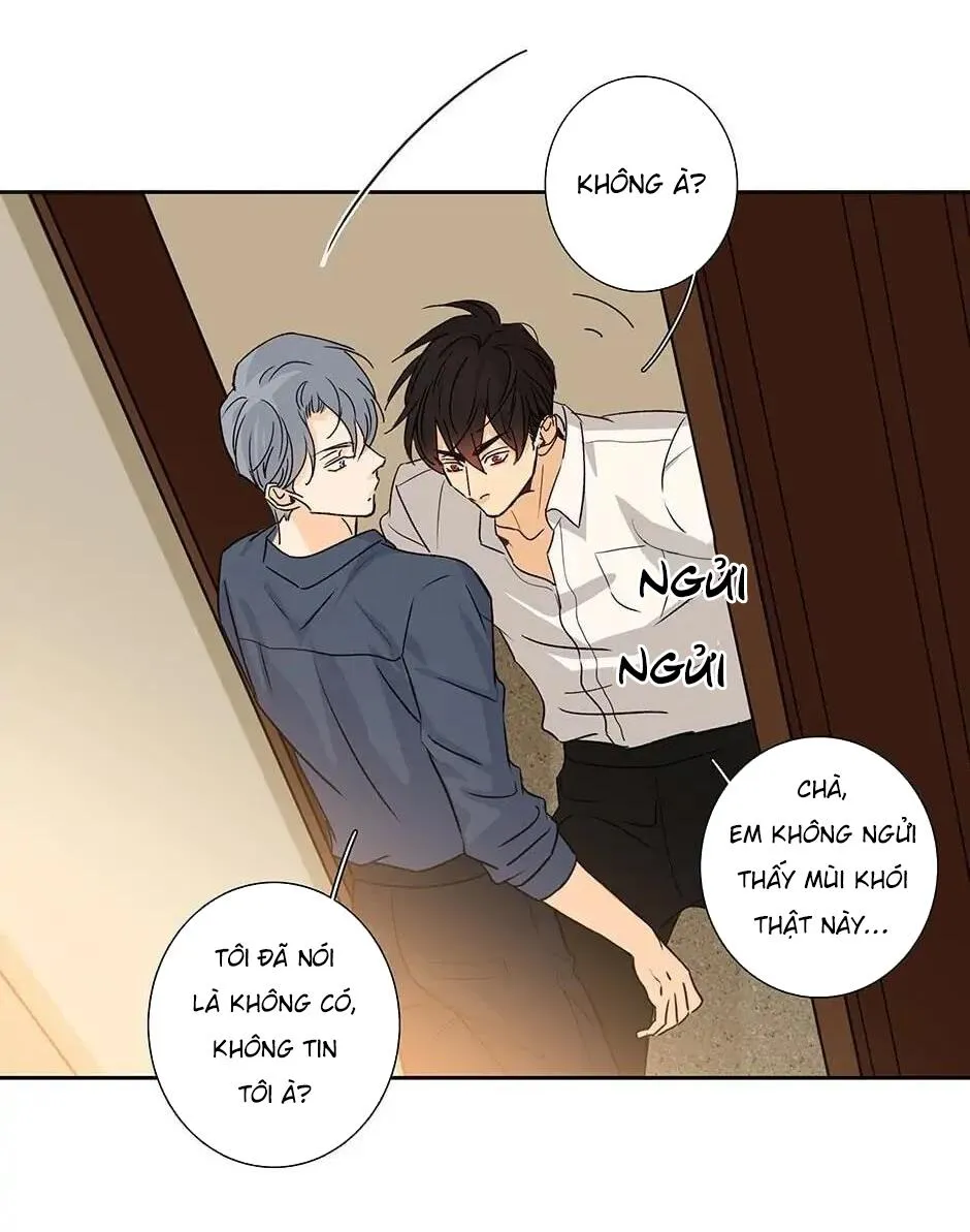 Đừng Chạm Vào Tim Tôi Chapter 44 Trang 25