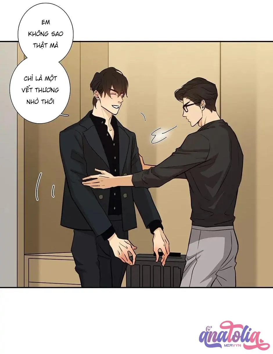 Đừng Chạm Vào Tim Tôi Chapter 45 Trang 4