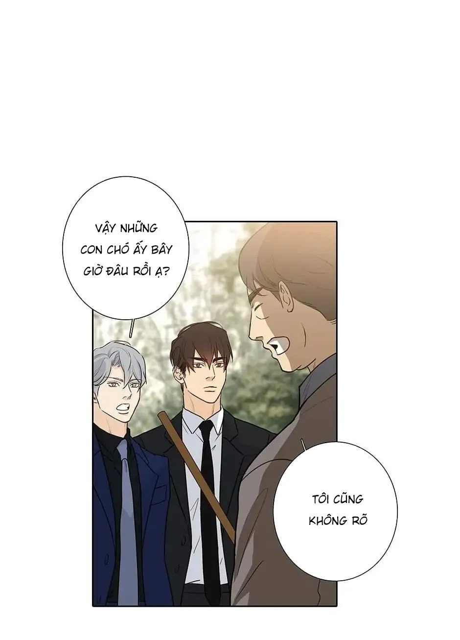 Đừng Chạm Vào Tim Tôi Chapter 46 Trang 33