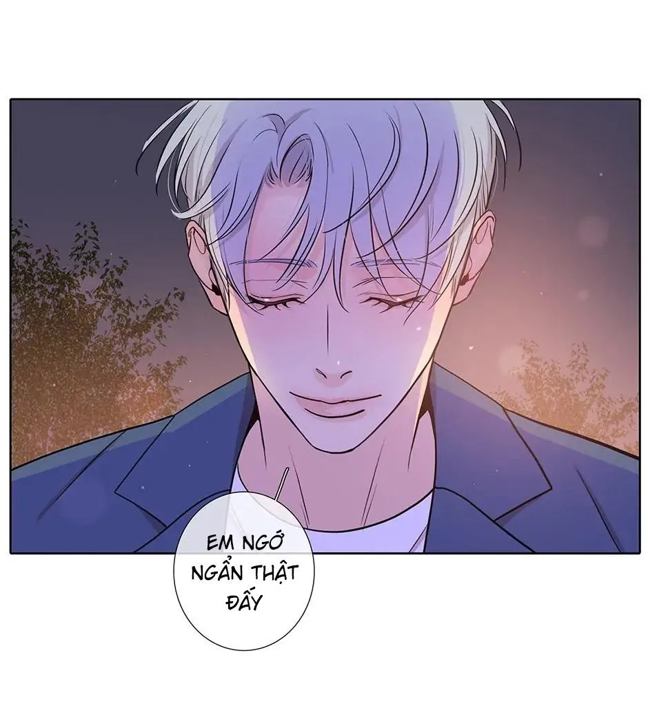 Đừng Chạm Vào Tim Tôi Chapter 67 Trang 3