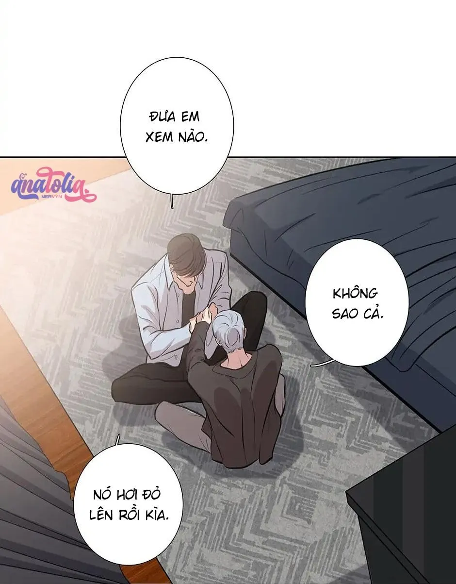 Đừng Chạm Vào Tim Tôi Chapter 78 Trang 14