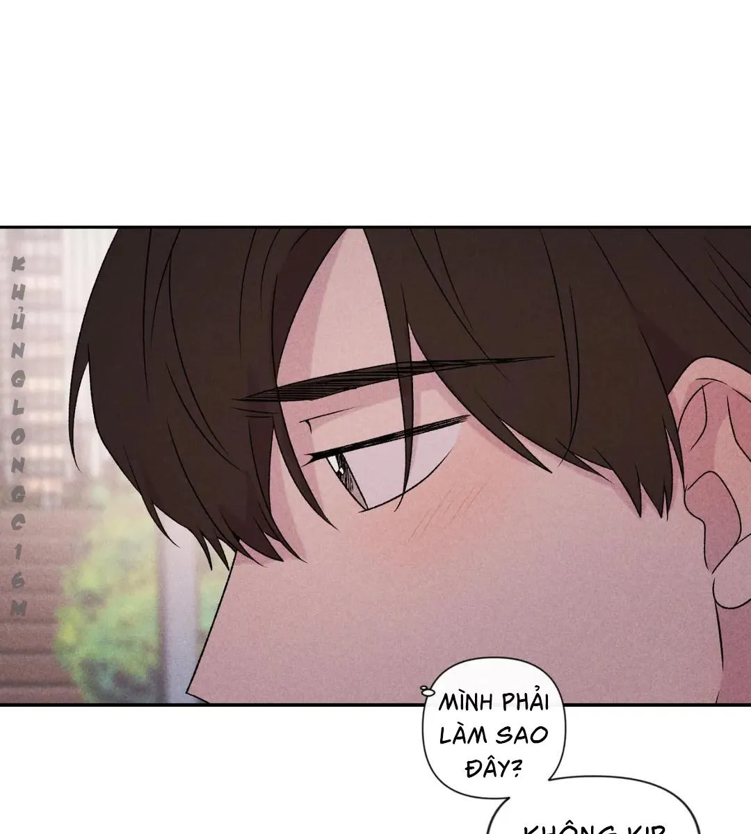 Đừng Cho Em Hy Vọng Chapter 38 Trang 61