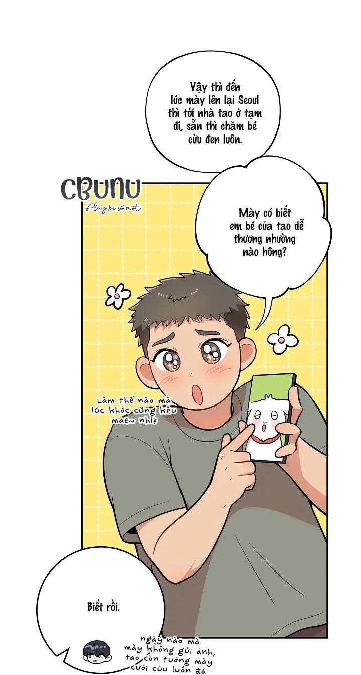 Đừng Để Bị Phát Hiện!! Chapter 19 Trang 9