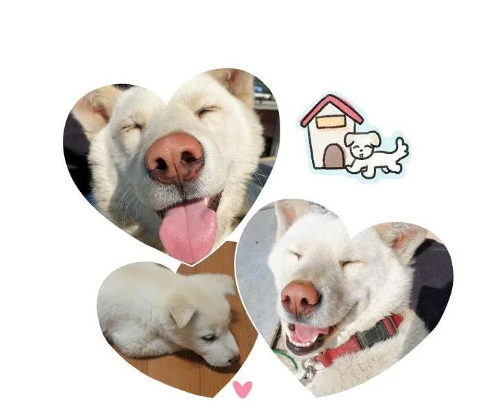 Đừng Để Bị Phát Hiện!! Chapter 25 Trang 14