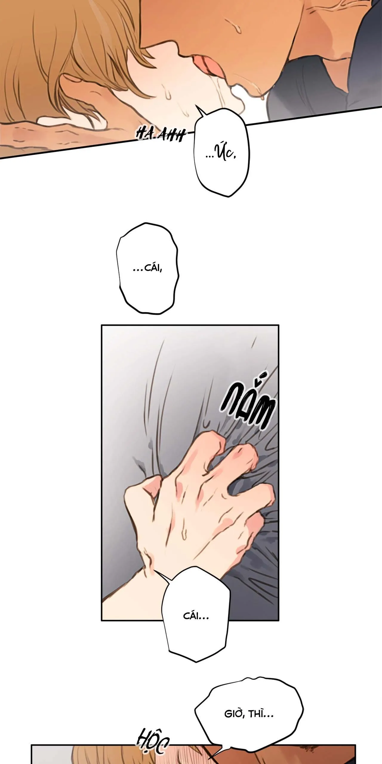 ĐỪNG ĐỘNG KHÔNG LÀ CƯƠNG ĐÓ! Chapter 1 Trang 3