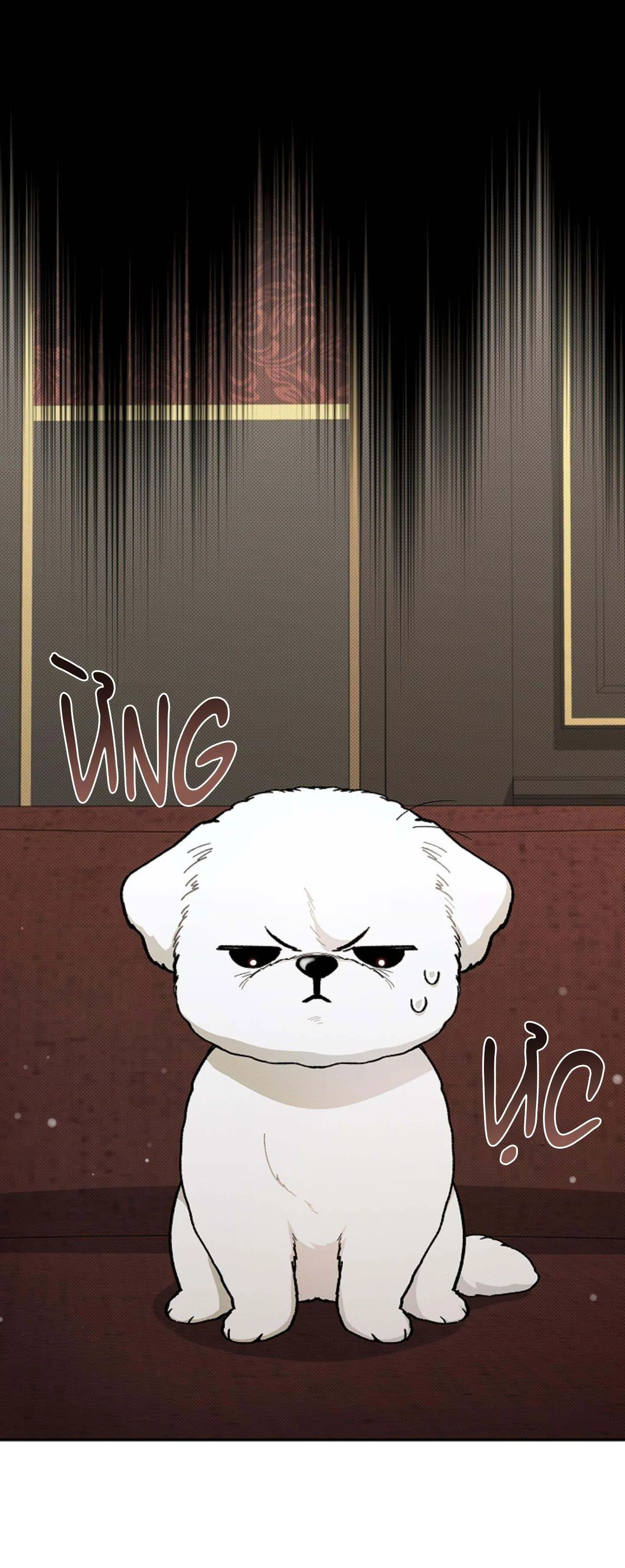 ĐỪNG ĐỘNG VÀO CÚN CON! Chapter 2 Trang 10