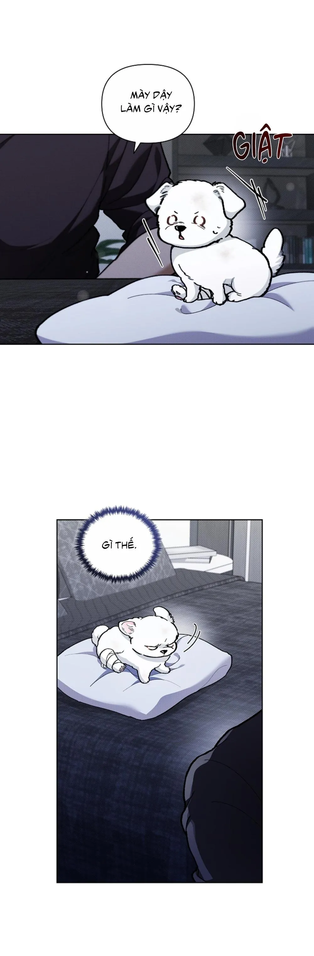 ĐỪNG ĐỘNG VÀO CÚN CON! Chapter 3 Trang 55