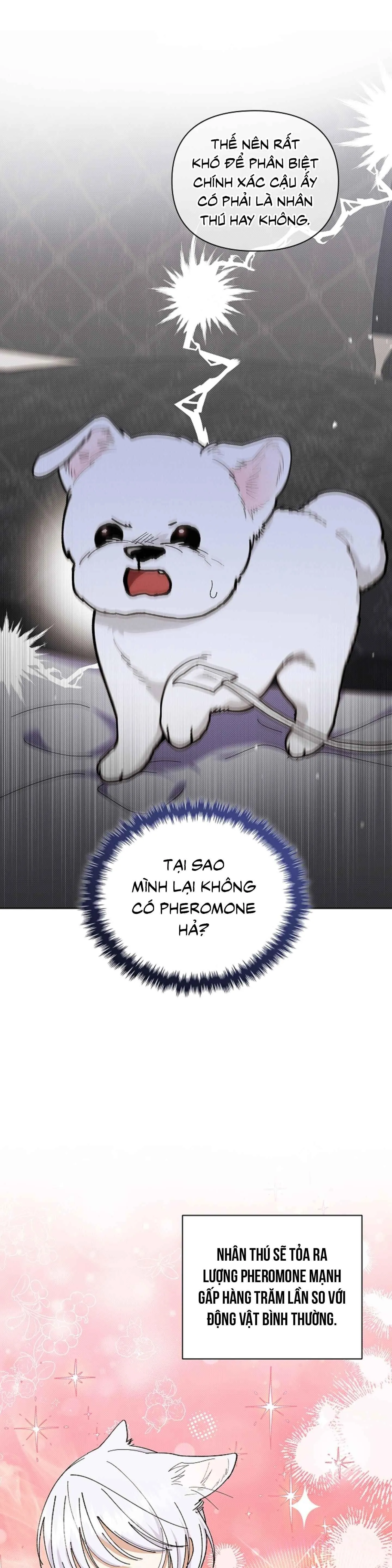 ĐỪNG ĐỘNG VÀO CÚN CON! Chapter 4 Trang 3