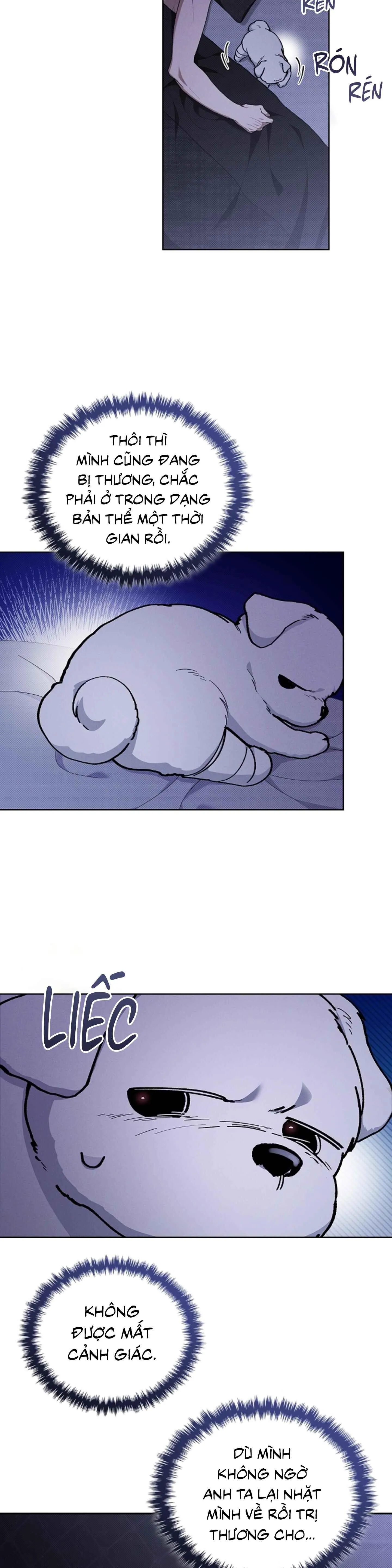 ĐỪNG ĐỘNG VÀO CÚN CON! Chapter 4 Trang 10