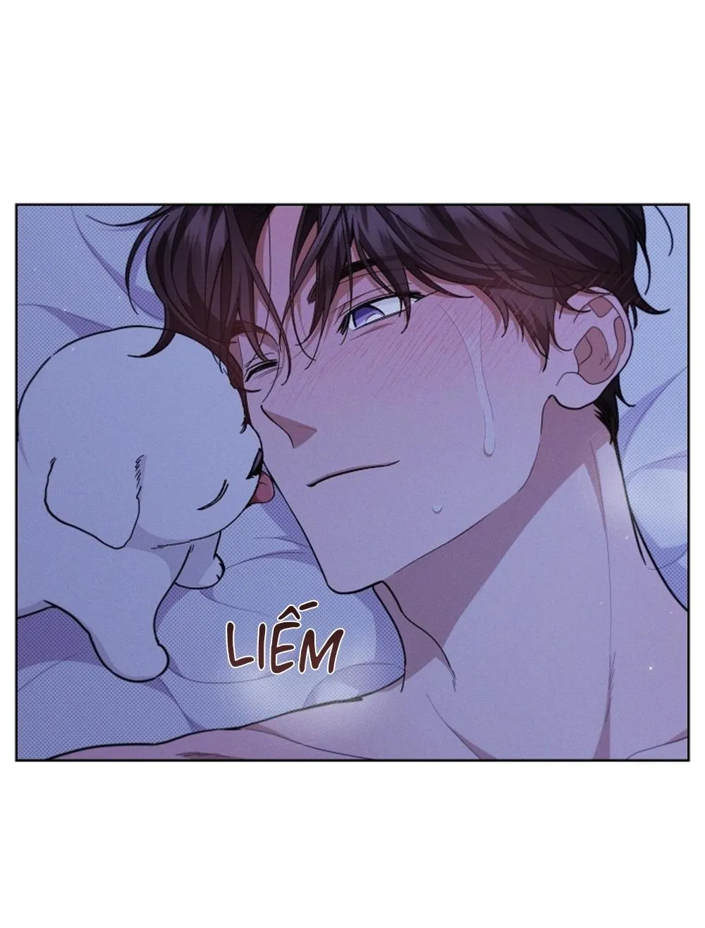 ĐỪNG ĐỘNG VÀO CÚN CON! Chapter 13 Trang 7