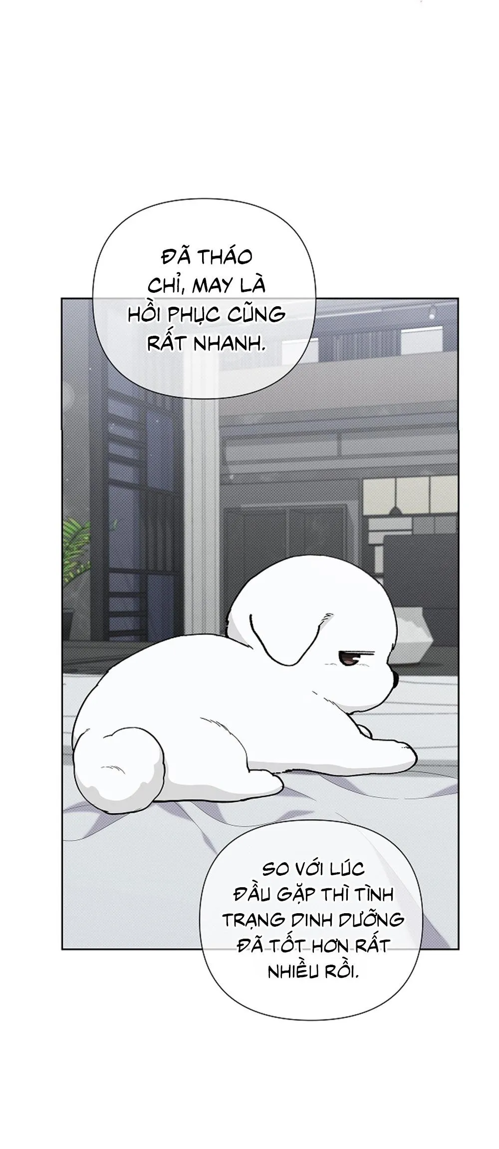 ĐỪNG ĐỘNG VÀO CÚN CON! Chapter 13 Trang 50