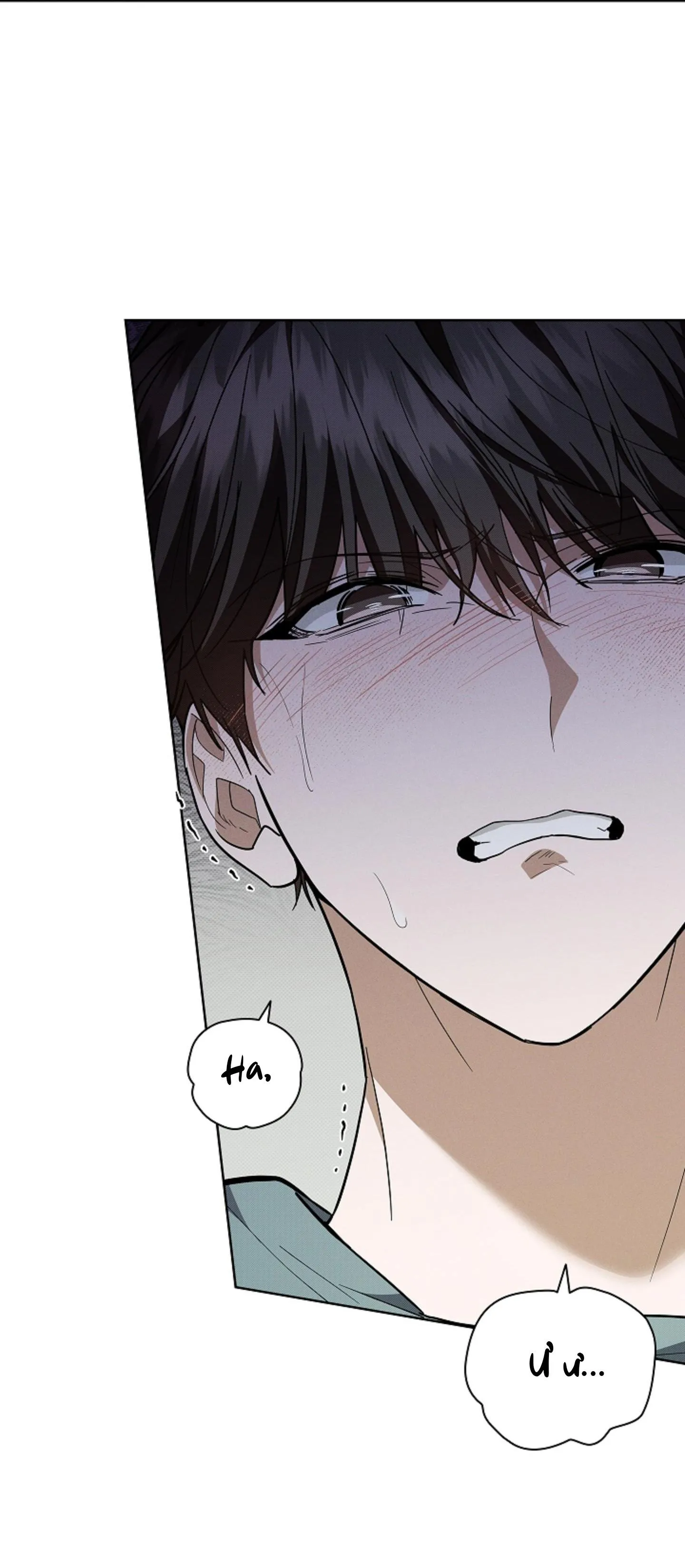 ĐỪNG ĐỘNG VÀO CÚN CON! Chapter 15 Trang 34