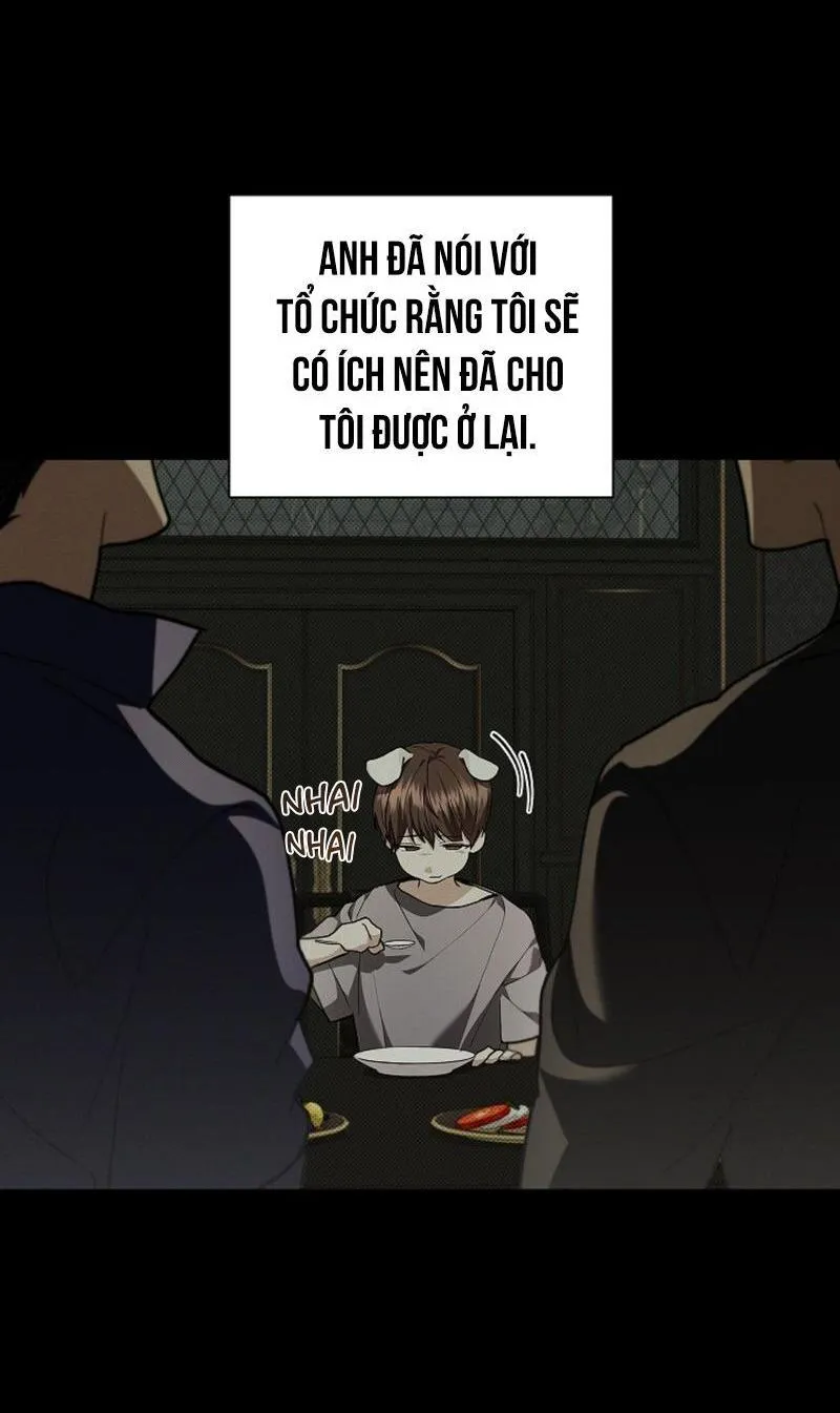 ĐỪNG ĐỘNG VÀO CÚN CON! Chapter 16 Trang 19