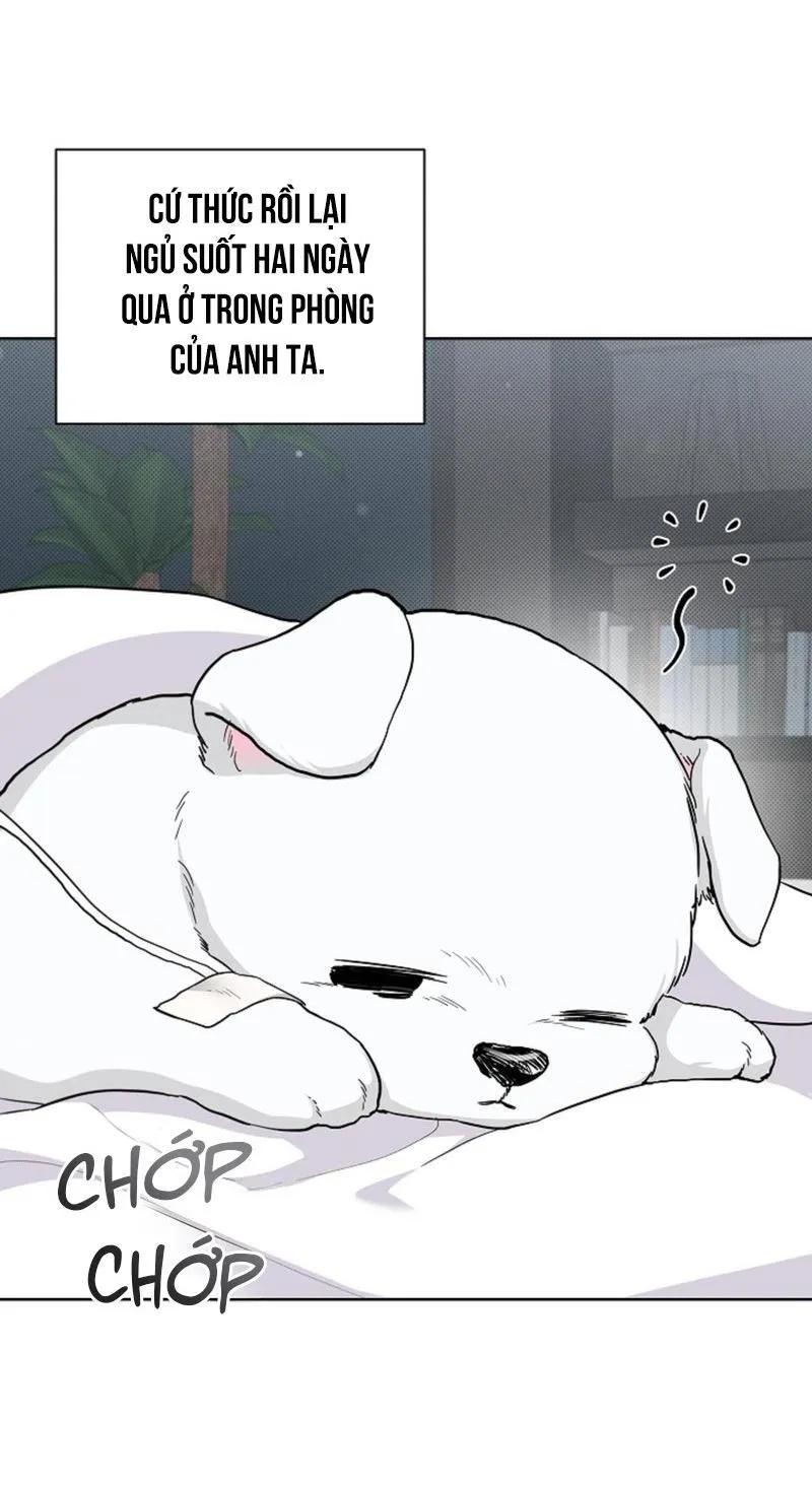 ĐỪNG ĐỘNG VÀO CÚN CON! Chapter 17 Trang 31