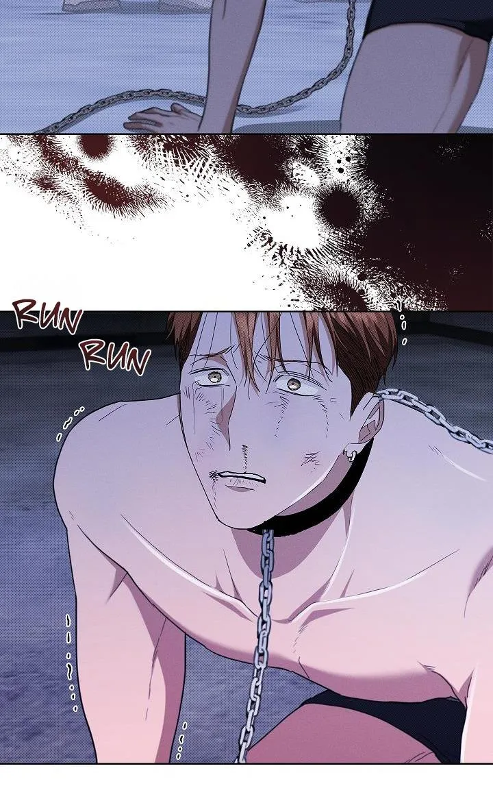 ĐỪNG ĐỘNG VÀO CÚN CON! Chapter 18 Trang 8