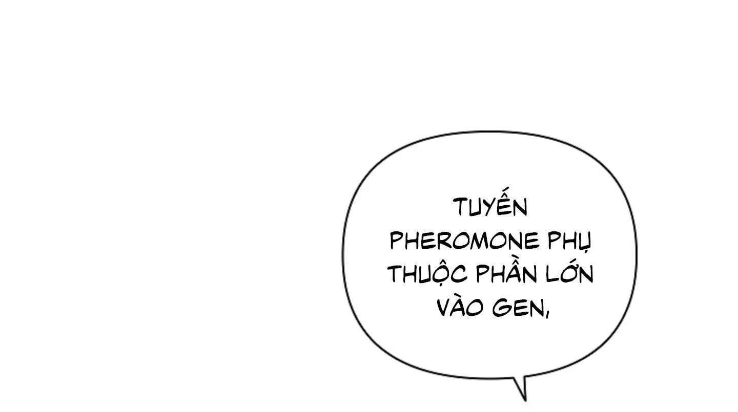 ĐỪNG ĐỘNG VÀO CÚN CON! Chapter 20 Trang 17