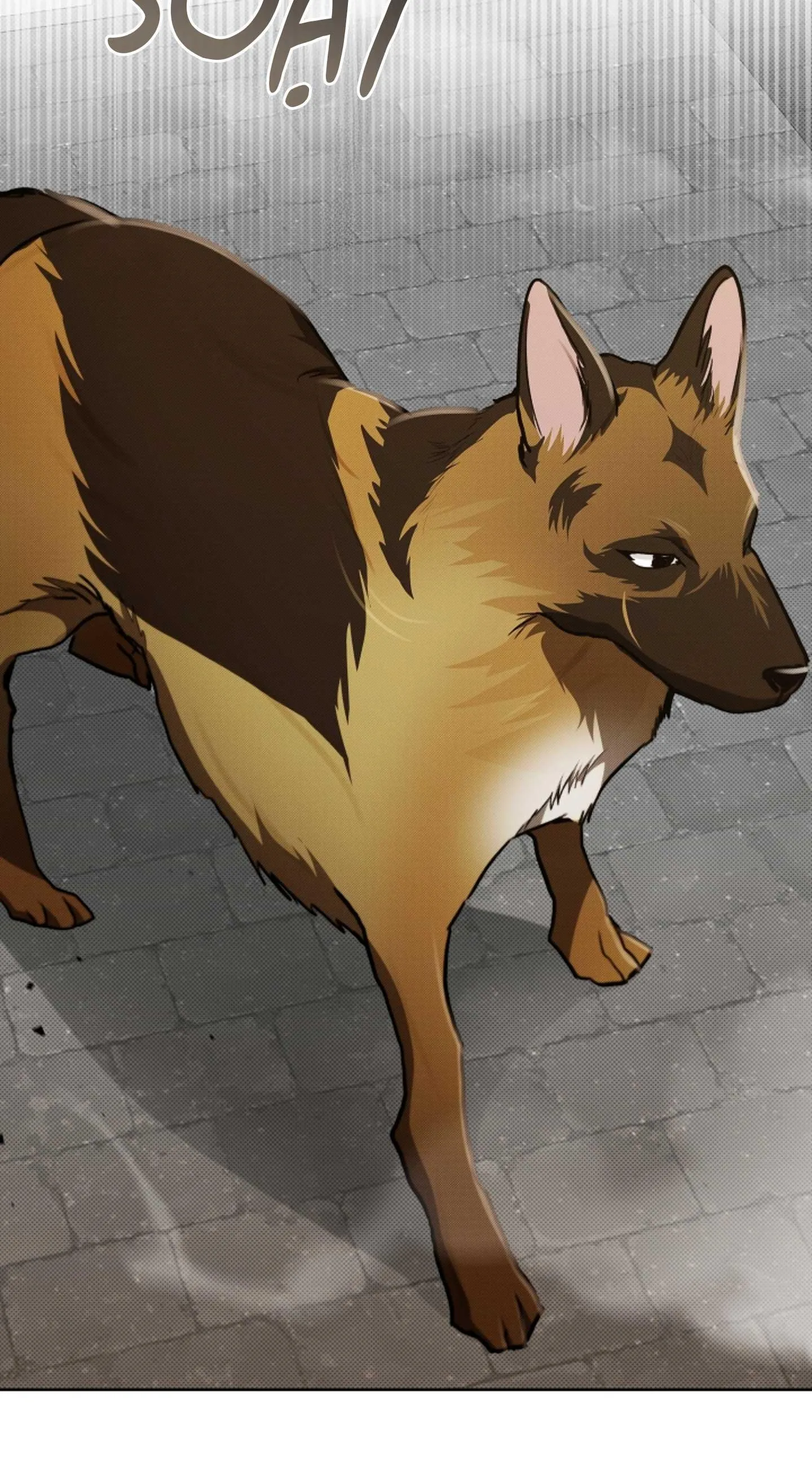 ĐỪNG ĐỘNG VÀO CÚN CON! Chapter 23 Trang 63