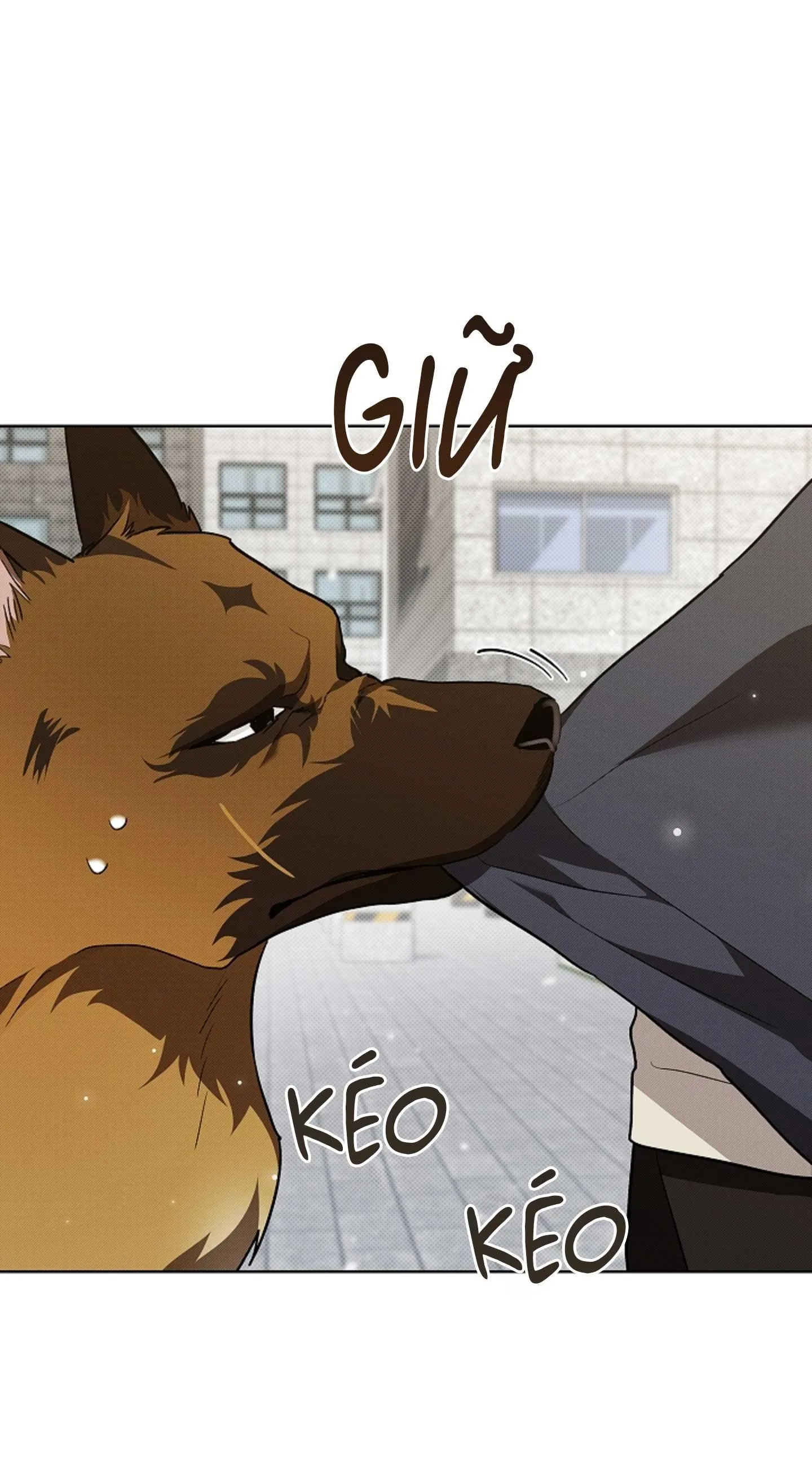 ĐỪNG ĐỘNG VÀO CÚN CON! Chapter 23 Trang 68