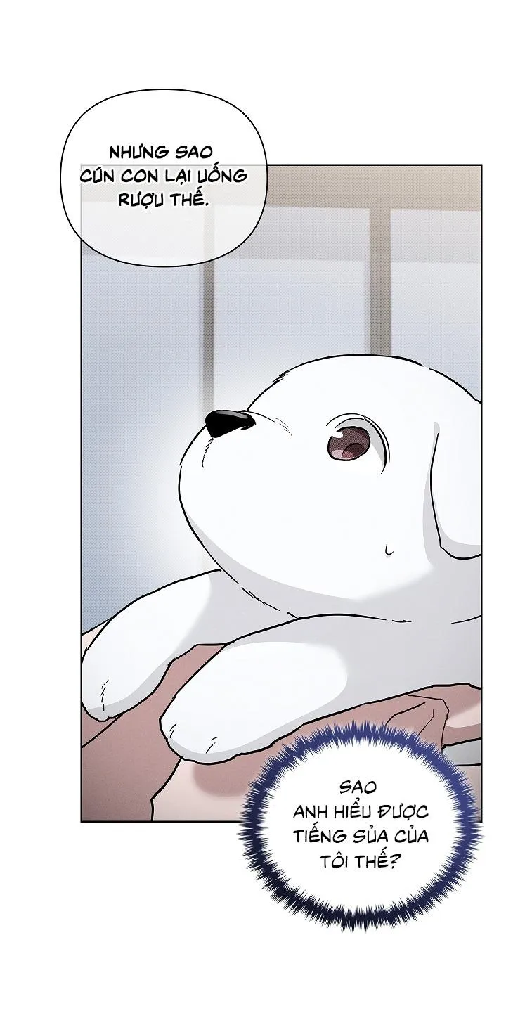 ĐỪNG ĐỘNG VÀO CÚN CON! Chapter 32 Trang 19