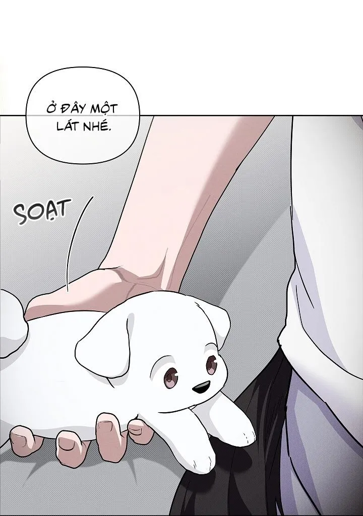 ĐỪNG ĐỘNG VÀO CÚN CON! Chapter 32 Trang 20